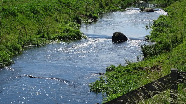 Singels en Essen wandeltocht (zondag  9 juni 2019)